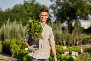 Guy gardener holds in his hand a pot with plant in the wonderful nursery-garden on a warm sunny day .